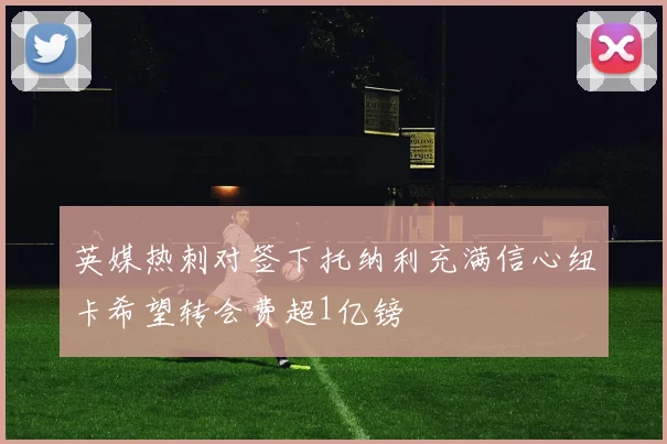 英媒热刺对签下托纳利充满信心纽卡希望转会费超1亿镑