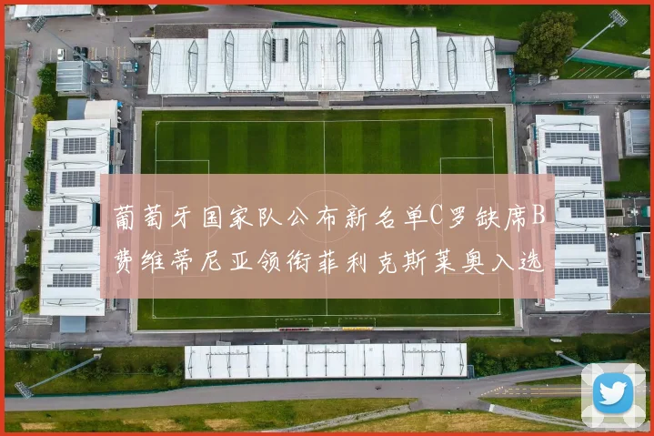 葡萄牙国家队公布新名单C罗缺席B费维蒂尼亚领衔菲利克斯莱奥入选